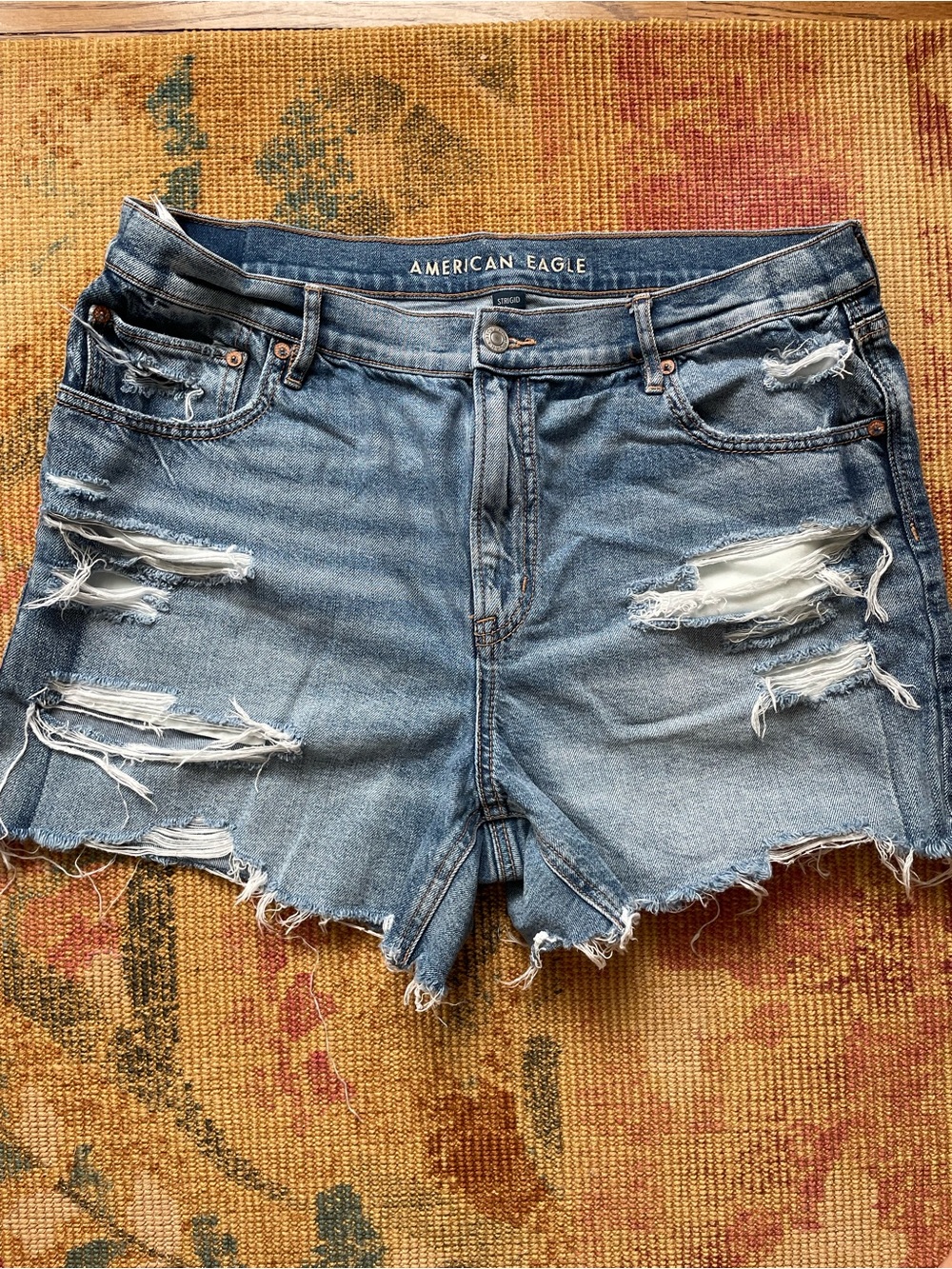 American Eagle Outfitters Distressed Light Blue Jean Shorts